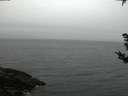 ./images/koeye/fitz-hugh/20181007/fitz-hugh20181007_192001.jpg