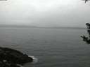 ./images/koeye/fitz-hugh/20181008/fitz-hugh20181008_071502.jpg