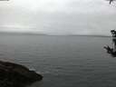 ./images/koeye/fitz-hugh/20181008/fitz-hugh20181008_072501.jpg