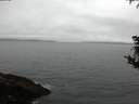 ./images/koeye/fitz-hugh/20181008/fitz-hugh20181008_073502.jpg