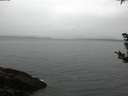 ./images/koeye/fitz-hugh/20181008/fitz-hugh20181008_074001.jpg