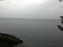 ./images/koeye/fitz-hugh/20181008/fitz-hugh20181008_074502.jpg
