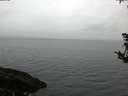 ./images/koeye/fitz-hugh/20181008/fitz-hugh20181008_075002.jpg