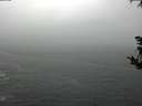 ./images/koeye/fitz-hugh/20181008/fitz-hugh20181008_125501.jpg