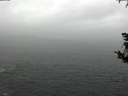./images/koeye/fitz-hugh/20181008/fitz-hugh20181008_131001.jpg