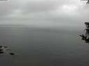 ./images/koeye/fitz-hugh/20181008/fitz-hugh20181008_150501.jpg