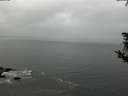 ./images/koeye/fitz-hugh/20181008/fitz-hugh20181008_151501.jpg