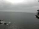 ./images/koeye/fitz-hugh/20181008/fitz-hugh20181008_152501.jpg