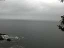 ./images/koeye/fitz-hugh/20181008/fitz-hugh20181008_153501.jpg