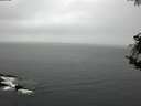 ./images/koeye/fitz-hugh/20181008/fitz-hugh20181008_154001.jpg
