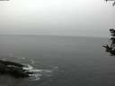 ./images/koeye/fitz-hugh/20181008/fitz-hugh20181008_163501.jpg