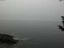./images/koeye/fitz-hugh/20181008/fitz-hugh20181008_165502.jpg