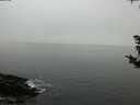 ./images/koeye/fitz-hugh/20181008/fitz-hugh20181008_171502.jpg