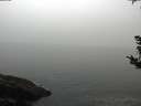 ./images/koeye/fitz-hugh/20181008/fitz-hugh20181008_180501.jpg