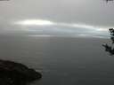 ./images/koeye/fitz-hugh/20181008/fitz-hugh20181008_185501.jpg
