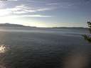 ./images/koeye/fitz-hugh/20181010/fitz-hugh20181010_145501.jpg