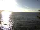 ./images/koeye/fitz-hugh/20181010/fitz-hugh20181010_162501.jpg