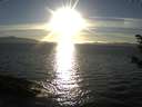 ./images/koeye/fitz-hugh/20181010/fitz-hugh20181010_174502.jpg