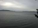 ./images/koeye/fitz-hugh/20181011/fitz-hugh20181011_155501.jpg