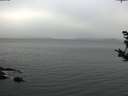 ./images/koeye/fitz-hugh/20181011/fitz-hugh20181011_172502.jpg