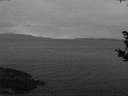 ./images/koeye/fitz-hugh/20181011/fitz-hugh20181011_192002.jpg