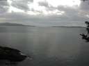 ./images/koeye/fitz-hugh/20181012/fitz-hugh20181012_075001.jpg