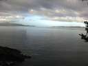 ./images/koeye/fitz-hugh/20181012/fitz-hugh20181012_100501.jpg