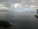 ./images/koeye/fitz-hugh/20181012/fitz-hugh20181012_104001.jpg
