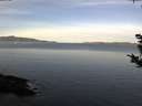 ./images/koeye/fitz-hugh/20181014/fitz-hugh20181014_084502.jpg