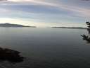 ./images/koeye/fitz-hugh/20181014/fitz-hugh20181014_123501.jpg