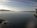 ./images/koeye/fitz-hugh/20181014/fitz-hugh20181014_144502.jpg