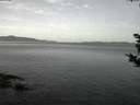./images/koeye/fitz-hugh/20181015/fitz-hugh20181015_071501.jpg