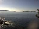 ./images/koeye/fitz-hugh/20181015/fitz-hugh20181015_145501.jpg