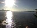 ./images/koeye/fitz-hugh/20181015/fitz-hugh20181015_165502.jpg