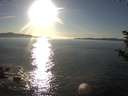./images/koeye/fitz-hugh/20181015/fitz-hugh20181015_171502.jpg