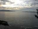 ./images/koeye/fitz-hugh/20181017/fitz-hugh20181017_160501.jpg