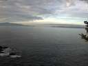 ./images/koeye/fitz-hugh/20181018/fitz-hugh20181018_094501.jpg