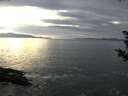 ./images/koeye/fitz-hugh/20181018/fitz-hugh20181018_164001.jpg