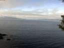 ./images/koeye/fitz-hugh/20181019/fitz-hugh20181019_102501.jpg