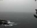 ./images/koeye/fitz-hugh/20181019/fitz-hugh20181019_185502.jpg