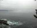 ./images/koeye/fitz-hugh/20181020/fitz-hugh20181020_080001.jpg