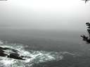 ./images/koeye/fitz-hugh/20181020/fitz-hugh20181020_080501.jpg