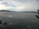 ./images/koeye/fitz-hugh/20181020/fitz-hugh20181020_124502.jpg