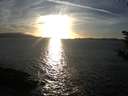 ./images/koeye/fitz-hugh/20181020/fitz-hugh20181020_174501.jpg