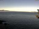 ./images/koeye/fitz-hugh/20181021/fitz-hugh20181021_093502.jpg