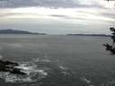 ./images/koeye/fitz-hugh/20181023/fitz-hugh20181023_094501.jpg