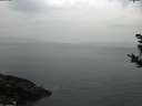 ./images/koeye/fitz-hugh/20181023/fitz-hugh20181023_181001.jpg