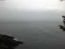 ./images/koeye/fitz-hugh/20181023/fitz-hugh20181023_182501.jpg