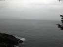 ./images/koeye/fitz-hugh/20181023/fitz-hugh20181023_183501.jpg
