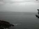 ./images/koeye/fitz-hugh/20181023/fitz-hugh20181023_184001.jpg